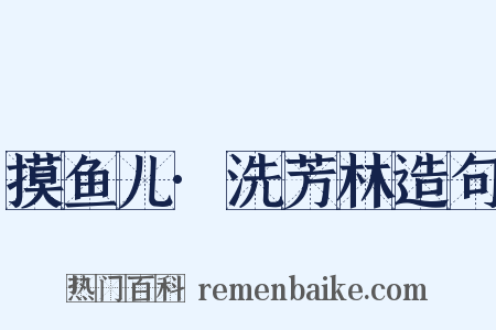 摸鱼儿·洗芳林造句是什么意思的图片